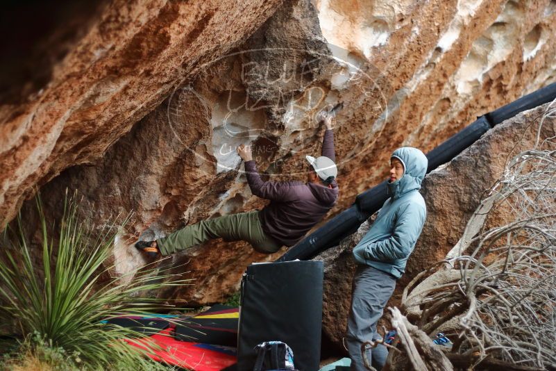 Bouldering in Hueco Tanks on 12/28/2019 with Blue Lizard Climbing and Yoga
Filename: SRM_20191228_1706560.jpg
Aperture: f/2.0
Shutter Speed: 1/250
Body: Canon EOS-1D Mark II
Lens: Canon EF 50mm f/1.8 II