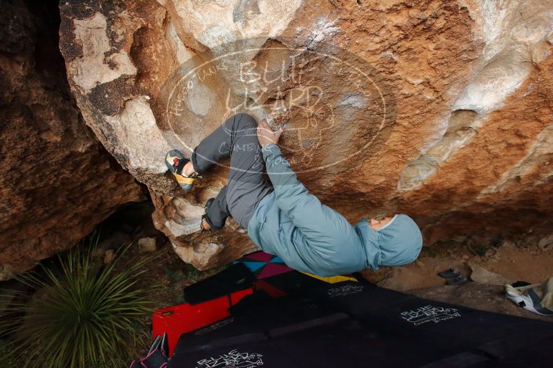 Bouldering in Hueco Tanks on 12/28/2019 with Blue Lizard Climbing and Yoga
Filename: SRM_20191228_1720370.jpg
Aperture: f/4.0
Shutter Speed: 1/250
Body: Canon EOS-1D Mark II
Lens: Canon EF 16-35mm f/2.8 L