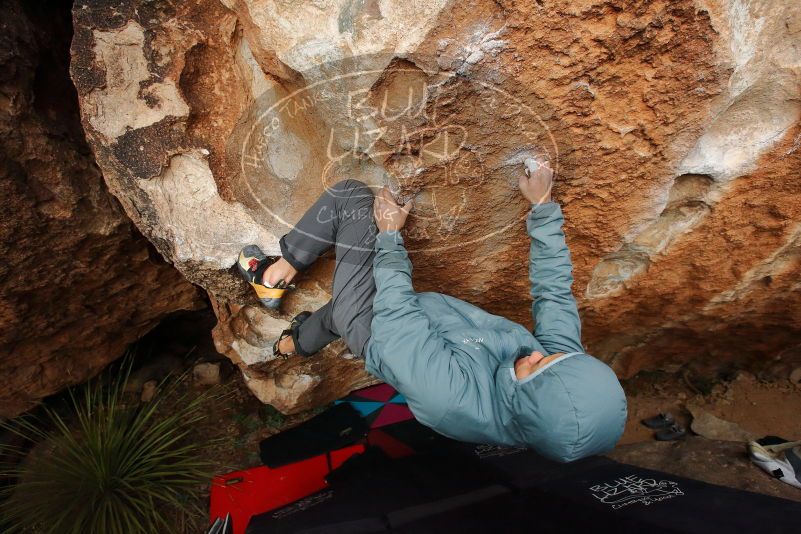 Bouldering in Hueco Tanks on 12/28/2019 with Blue Lizard Climbing and Yoga

Filename: SRM_20191228_1722370.jpg
Aperture: f/5.0
Shutter Speed: 1/250
Body: Canon EOS-1D Mark II
Lens: Canon EF 16-35mm f/2.8 L