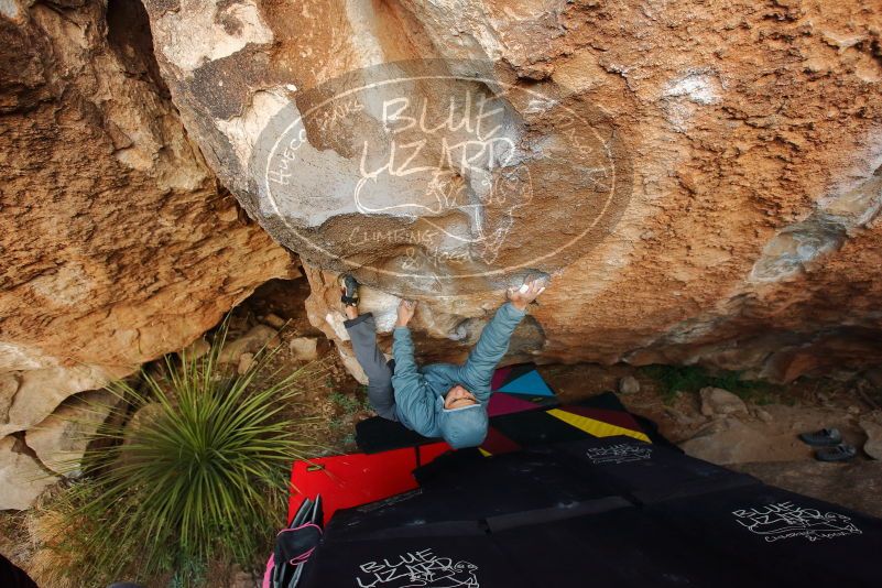 Bouldering in Hueco Tanks on 12/28/2019 with Blue Lizard Climbing and Yoga

Filename: SRM_20191228_1744270.jpg
Aperture: f/4.0
Shutter Speed: 1/250
Body: Canon EOS-1D Mark II
Lens: Canon EF 16-35mm f/2.8 L