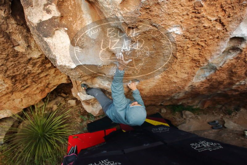 Bouldering in Hueco Tanks on 12/28/2019 with Blue Lizard Climbing and Yoga
Filename: SRM_20191228_1744300.jpg
Aperture: f/4.0
Shutter Speed: 1/250
Body: Canon EOS-1D Mark II
Lens: Canon EF 16-35mm f/2.8 L