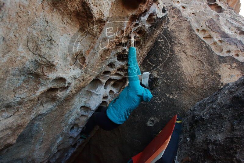Bouldering in Hueco Tanks on 12/29/2019 with Blue Lizard Climbing and Yoga
Filename: SRM_20191229_1050350.jpg
Aperture: f/5.0
Shutter Speed: 1/250
Body: Canon EOS-1D Mark II
Lens: Canon EF 16-35mm f/2.8 L
