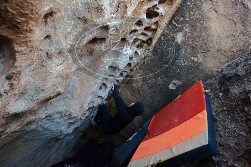 Bouldering in Hueco Tanks on 12/29/2019 with Blue Lizard Climbing and Yoga
Filename: SRM_20191229_1055140.jpg
Aperture: f/4.0
Shutter Speed: 1/250
Body: Canon EOS-1D Mark II
Lens: Canon EF 16-35mm f/2.8 L