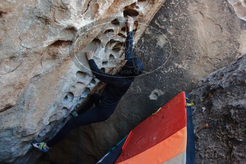 Bouldering in Hueco Tanks on 12/29/2019 with Blue Lizard Climbing and Yoga

Filename: SRM_20191229_1055230.jpg
Aperture: f/4.0
Shutter Speed: 1/250
Body: Canon EOS-1D Mark II
Lens: Canon EF 16-35mm f/2.8 L