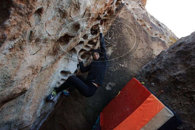Bouldering in Hueco Tanks on 12/29/2019 with Blue Lizard Climbing and Yoga
Filename: SRM_20191229_1056010.jpg
Aperture: f/5.0
Shutter Speed: 1/250
Body: Canon EOS-1D Mark II
Lens: Canon EF 16-35mm f/2.8 L