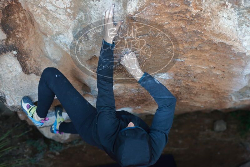 Bouldering in Hueco Tanks on 12/29/2019 with Blue Lizard Climbing and Yoga

Filename: SRM_20191229_1124240.jpg
Aperture: f/3.5
Shutter Speed: 1/250
Body: Canon EOS-1D Mark II
Lens: Canon EF 50mm f/1.8 II