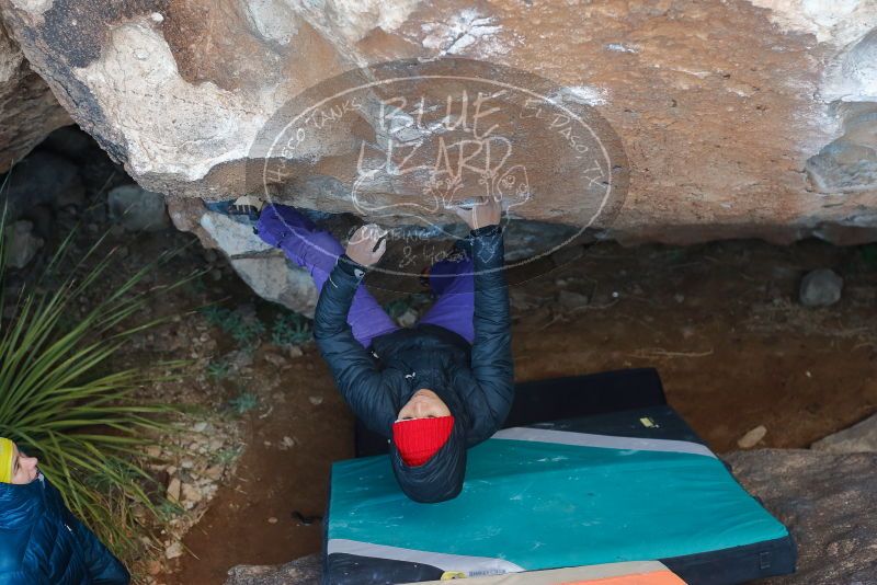 Bouldering in Hueco Tanks on 12/29/2019 with Blue Lizard Climbing and Yoga
Filename: SRM_20191229_1126550.jpg
Aperture: f/3.2
Shutter Speed: 1/250
Body: Canon EOS-1D Mark II
Lens: Canon EF 50mm f/1.8 II