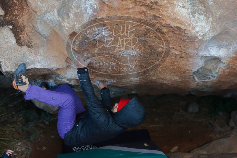 Bouldering in Hueco Tanks on 12/29/2019 with Blue Lizard Climbing and Yoga
Filename: SRM_20191229_1127070.jpg
Aperture: f/4.5
Shutter Speed: 1/250
Body: Canon EOS-1D Mark II
Lens: Canon EF 50mm f/1.8 II