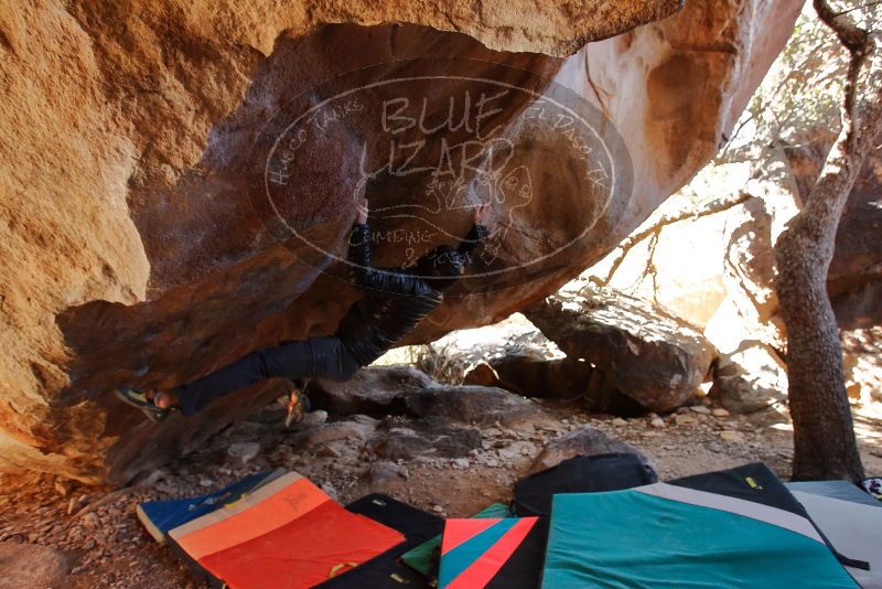 Bouldering in Hueco Tanks on 12/29/2019 with Blue Lizard Climbing and Yoga
Filename: SRM_20191229_1410530.jpg
Aperture: f/4.5
Shutter Speed: 1/250
Body: Canon EOS-1D Mark II
Lens: Canon EF 16-35mm f/2.8 L