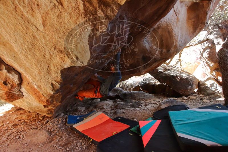 Bouldering in Hueco Tanks on 12/29/2019 with Blue Lizard Climbing and Yoga
Filename: SRM_20191229_1422200.jpg
Aperture: f/4.0
Shutter Speed: 1/250
Body: Canon EOS-1D Mark II
Lens: Canon EF 16-35mm f/2.8 L