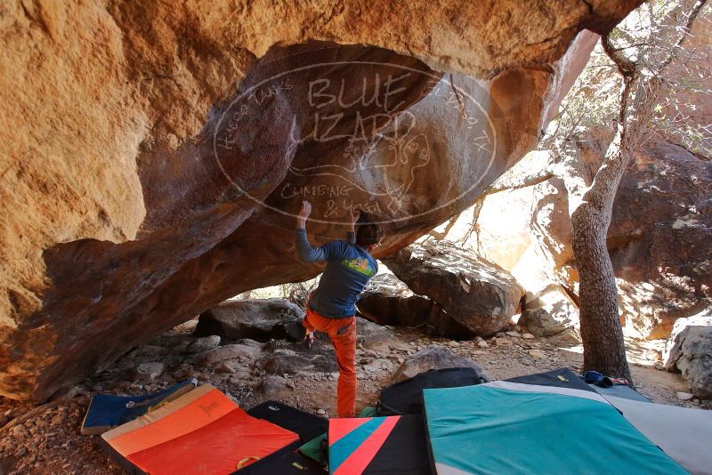 Bouldering in Hueco Tanks on 12/29/2019 with Blue Lizard Climbing and Yoga

Filename: SRM_20191229_1422340.jpg
Aperture: f/4.0
Shutter Speed: 1/250
Body: Canon EOS-1D Mark II
Lens: Canon EF 16-35mm f/2.8 L