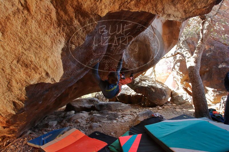 Bouldering in Hueco Tanks on 12/29/2019 with Blue Lizard Climbing and Yoga

Filename: SRM_20191229_1447570.jpg
Aperture: f/3.5
Shutter Speed: 1/250
Body: Canon EOS-1D Mark II
Lens: Canon EF 16-35mm f/2.8 L