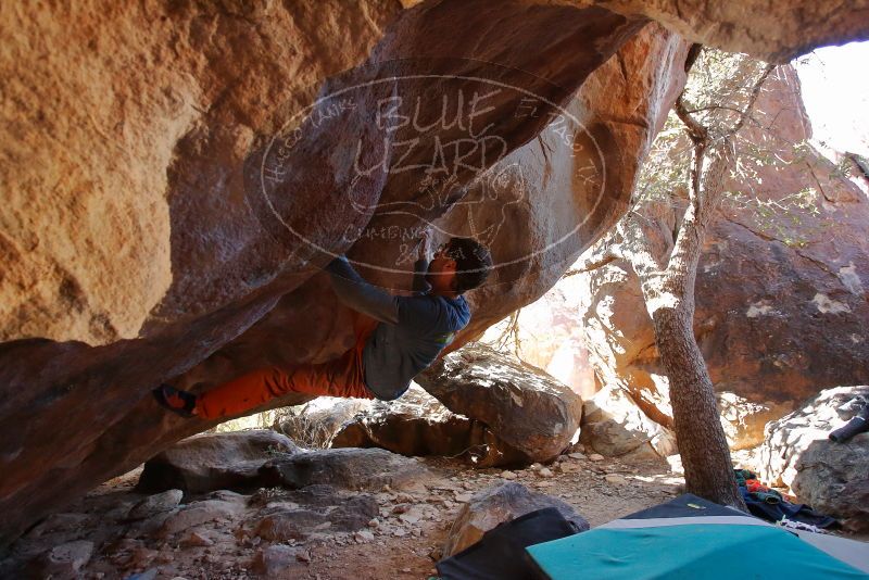 Bouldering in Hueco Tanks on 12/29/2019 with Blue Lizard Climbing and Yoga

Filename: SRM_20191229_1453230.jpg
Aperture: f/3.5
Shutter Speed: 1/250
Body: Canon EOS-1D Mark II
Lens: Canon EF 16-35mm f/2.8 L