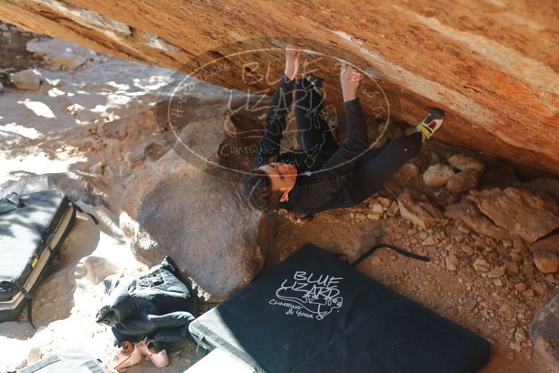 Bouldering in Hueco Tanks on 12/29/2019 with Blue Lizard Climbing and Yoga

Filename: SRM_20191229_1526250.jpg
Aperture: f/4.0
Shutter Speed: 1/320
Body: Canon EOS-1D Mark II
Lens: Canon EF 50mm f/1.8 II