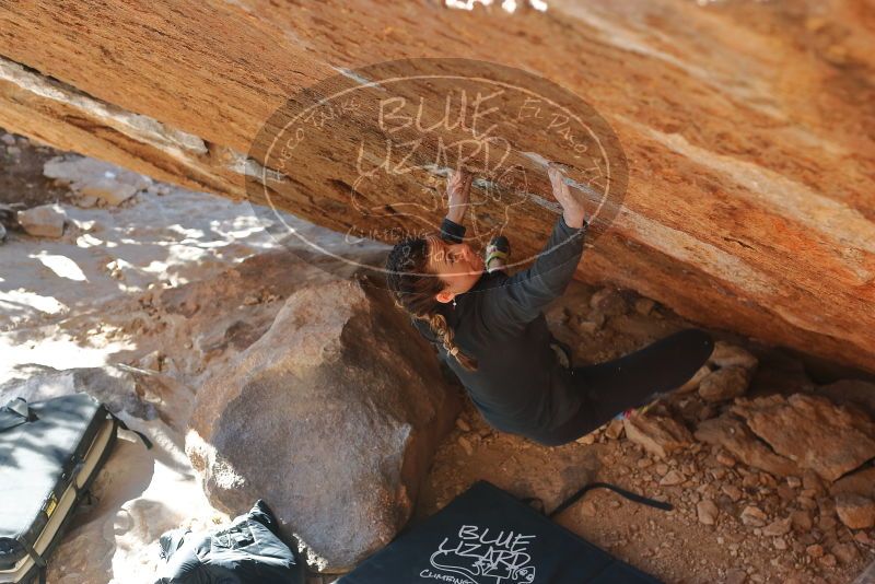 Bouldering in Hueco Tanks on 12/29/2019 with Blue Lizard Climbing and Yoga

Filename: SRM_20191229_1526260.jpg
Aperture: f/4.0
Shutter Speed: 1/320
Body: Canon EOS-1D Mark II
Lens: Canon EF 50mm f/1.8 II