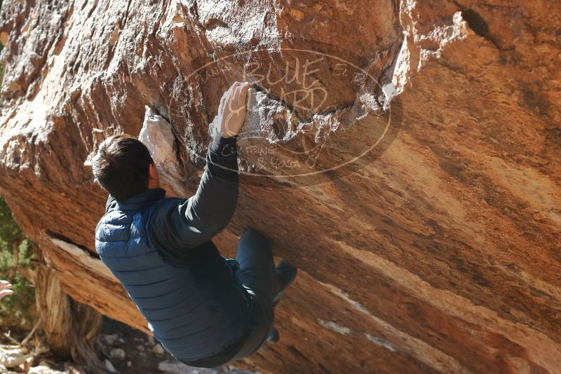Bouldering in Hueco Tanks on 12/29/2019 with Blue Lizard Climbing and Yoga

Filename: SRM_20191229_1528190.jpg
Aperture: f/5.6
Shutter Speed: 1/320
Body: Canon EOS-1D Mark II
Lens: Canon EF 50mm f/1.8 II