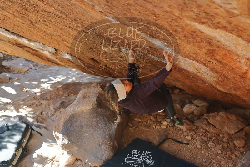 Bouldering in Hueco Tanks on 12/29/2019 with Blue Lizard Climbing and Yoga

Filename: SRM_20191229_1530280.jpg
Aperture: f/4.0
Shutter Speed: 1/320
Body: Canon EOS-1D Mark II
Lens: Canon EF 50mm f/1.8 II