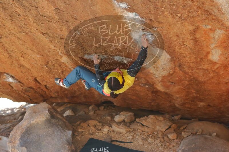 Bouldering in Hueco Tanks on 12/29/2019 with Blue Lizard Climbing and Yoga

Filename: SRM_20191229_1546000.jpg
Aperture: f/3.5
Shutter Speed: 1/400
Body: Canon EOS-1D Mark II
Lens: Canon EF 50mm f/1.8 II