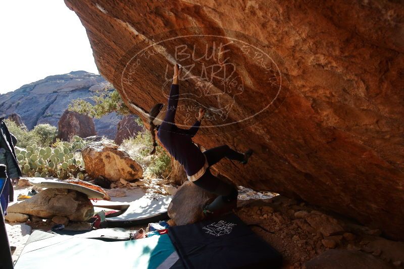 Bouldering in Hueco Tanks on 12/29/2019 with Blue Lizard Climbing and Yoga

Filename: SRM_20191229_1555580.jpg
Aperture: f/5.6
Shutter Speed: 1/320
Body: Canon EOS-1D Mark II
Lens: Canon EF 16-35mm f/2.8 L