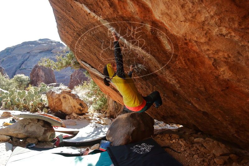 Bouldering in Hueco Tanks on 12/29/2019 with Blue Lizard Climbing and Yoga

Filename: SRM_20191229_1557300.jpg
Aperture: f/5.0
Shutter Speed: 1/320
Body: Canon EOS-1D Mark II
Lens: Canon EF 16-35mm f/2.8 L