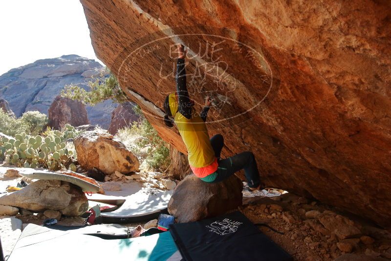 Bouldering in Hueco Tanks on 12/29/2019 with Blue Lizard Climbing and Yoga

Filename: SRM_20191229_1557301.jpg
Aperture: f/5.0
Shutter Speed: 1/320
Body: Canon EOS-1D Mark II
Lens: Canon EF 16-35mm f/2.8 L