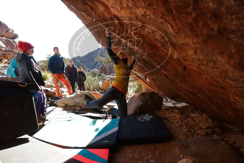 Bouldering in Hueco Tanks on 12/29/2019 with Blue Lizard Climbing and Yoga
Filename: SRM_20191229_1600371.jpg
Aperture: f/5.0
Shutter Speed: 1/320
Body: Canon EOS-1D Mark II
Lens: Canon EF 16-35mm f/2.8 L