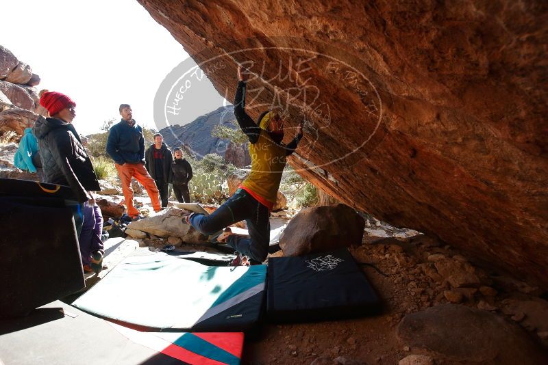 Bouldering in Hueco Tanks on 12/29/2019 with Blue Lizard Climbing and Yoga
Filename: SRM_20191229_1600372.jpg
Aperture: f/5.0
Shutter Speed: 1/320
Body: Canon EOS-1D Mark II
Lens: Canon EF 16-35mm f/2.8 L
