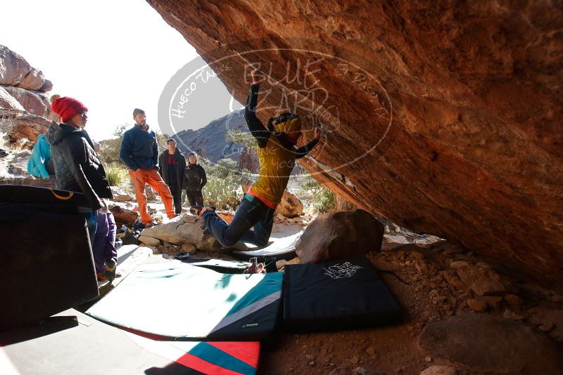 Bouldering in Hueco Tanks on 12/29/2019 with Blue Lizard Climbing and Yoga

Filename: SRM_20191229_1600376.jpg
Aperture: f/5.0
Shutter Speed: 1/320
Body: Canon EOS-1D Mark II
Lens: Canon EF 16-35mm f/2.8 L