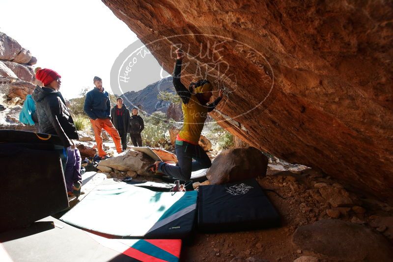 Bouldering in Hueco Tanks on 12/29/2019 with Blue Lizard Climbing and Yoga
Filename: SRM_20191229_1600380.jpg
Aperture: f/5.0
Shutter Speed: 1/320
Body: Canon EOS-1D Mark II
Lens: Canon EF 16-35mm f/2.8 L