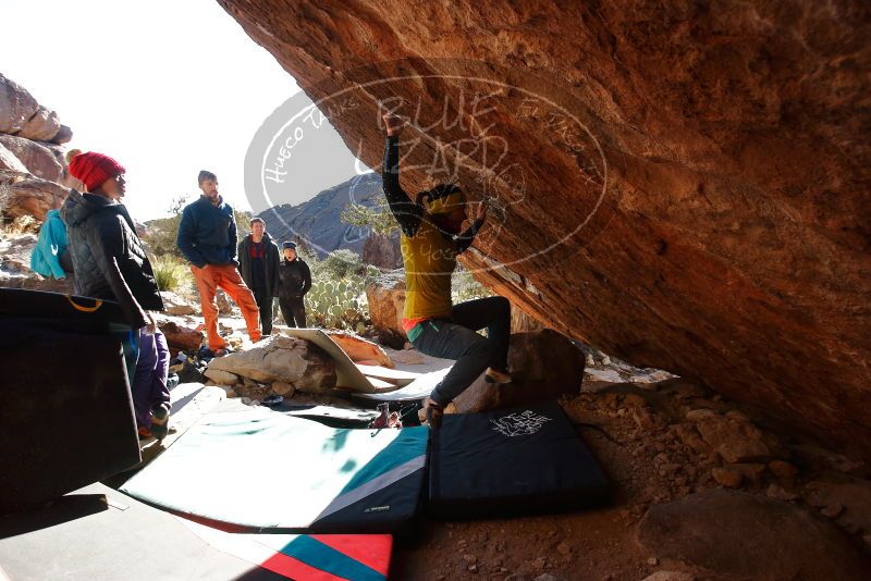 Bouldering in Hueco Tanks on 12/29/2019 with Blue Lizard Climbing and Yoga

Filename: SRM_20191229_1600382.jpg
Aperture: f/5.0
Shutter Speed: 1/320
Body: Canon EOS-1D Mark II
Lens: Canon EF 16-35mm f/2.8 L