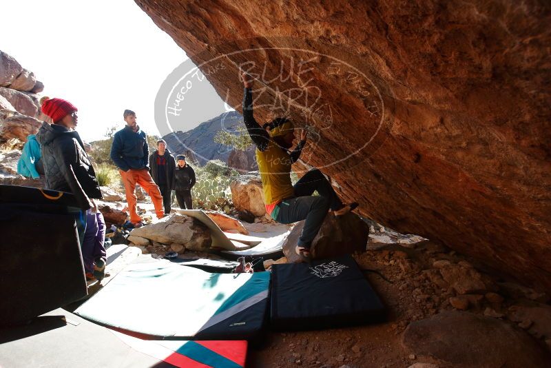 Bouldering in Hueco Tanks on 12/29/2019 with Blue Lizard Climbing and Yoga
Filename: SRM_20191229_1600383.jpg
Aperture: f/5.0
Shutter Speed: 1/320
Body: Canon EOS-1D Mark II
Lens: Canon EF 16-35mm f/2.8 L