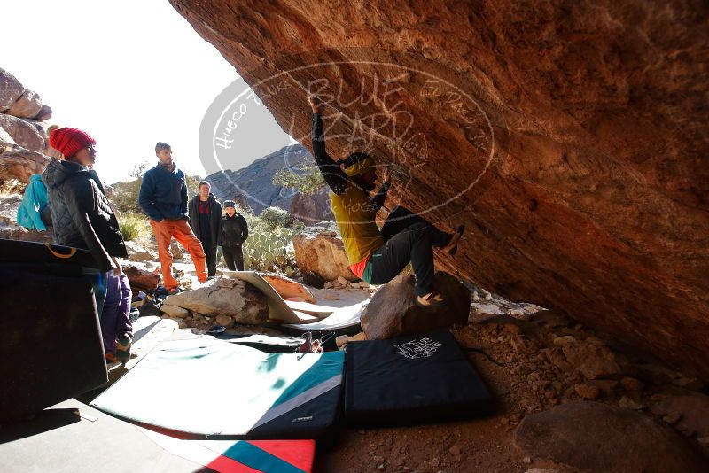 Bouldering in Hueco Tanks on 12/29/2019 with Blue Lizard Climbing and Yoga

Filename: SRM_20191229_1600384.jpg
Aperture: f/5.0
Shutter Speed: 1/320
Body: Canon EOS-1D Mark II
Lens: Canon EF 16-35mm f/2.8 L