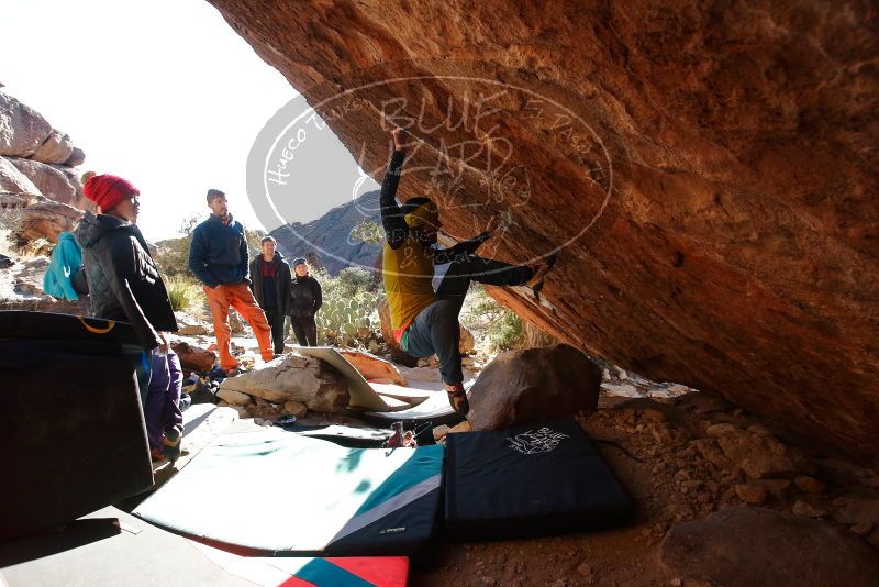 Bouldering in Hueco Tanks on 12/29/2019 with Blue Lizard Climbing and Yoga

Filename: SRM_20191229_1600390.jpg
Aperture: f/5.0
Shutter Speed: 1/320
Body: Canon EOS-1D Mark II
Lens: Canon EF 16-35mm f/2.8 L