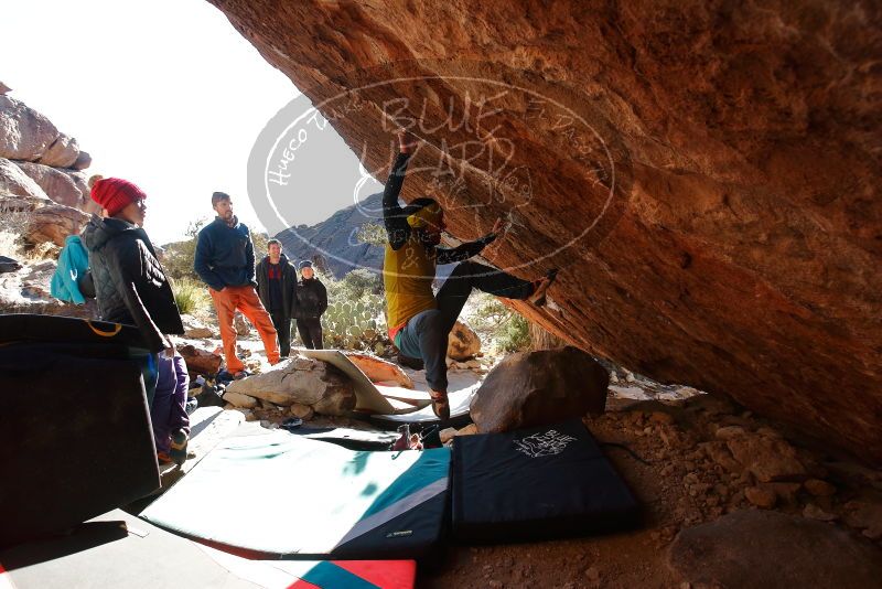 Bouldering in Hueco Tanks on 12/29/2019 with Blue Lizard Climbing and Yoga

Filename: SRM_20191229_1600391.jpg
Aperture: f/5.0
Shutter Speed: 1/320
Body: Canon EOS-1D Mark II
Lens: Canon EF 16-35mm f/2.8 L