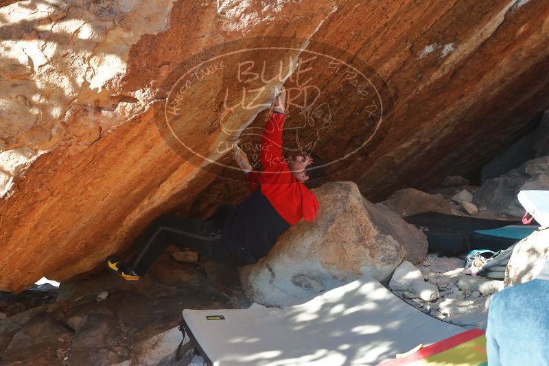 Bouldering in Hueco Tanks on 12/29/2019 with Blue Lizard Climbing and Yoga
Filename: SRM_20191229_1607140.jpg
Aperture: f/5.6
Shutter Speed: 1/320
Body: Canon EOS-1D Mark II
Lens: Canon EF 50mm f/1.8 II