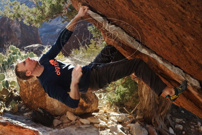 Bouldering in Hueco Tanks on 12/29/2019 with Blue Lizard Climbing and Yoga

Filename: SRM_20191229_1613431.jpg
Aperture: f/6.3
Shutter Speed: 1/320
Body: Canon EOS-1D Mark II
Lens: Canon EF 50mm f/1.8 II