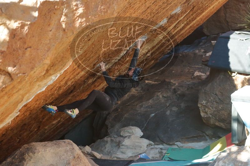 Bouldering in Hueco Tanks on 12/29/2019 with Blue Lizard Climbing and Yoga
Filename: SRM_20191229_1642321.jpg
Aperture: f/4.0
Shutter Speed: 1/320
Body: Canon EOS-1D Mark II
Lens: Canon EF 50mm f/1.8 II