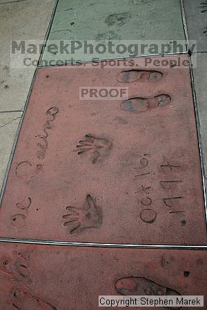 

Filename: img_4445_std.jpg
Aperture: f/11.0
Shutter Speed: 1/100
Body: Canon EOS DIGITAL REBEL
Lens: Canon EF-S 18-55mm f/3.5-5.6