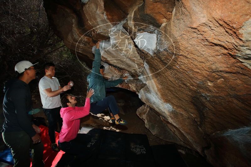 Bouldering in Hueco Tanks on 12/30/2019 with Blue Lizard Climbing and Yoga
Filename: SRM_20191230_1225350.jpg
Aperture: f/8.0
Shutter Speed: 1/250
Body: Canon EOS-1D Mark II
Lens: Canon EF 16-35mm f/2.8 L