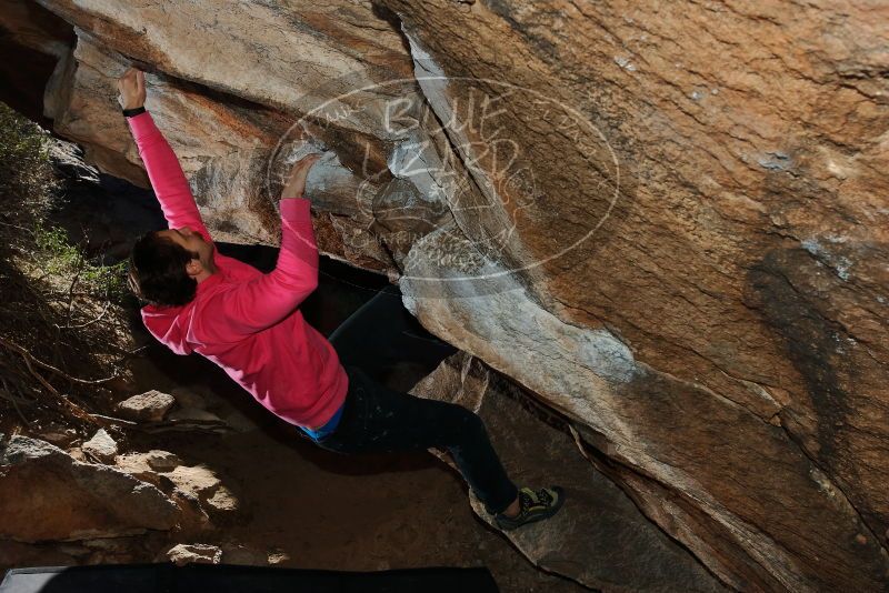 Bouldering in Hueco Tanks on 12/30/2019 with Blue Lizard Climbing and Yoga
Filename: SRM_20191230_1230490.jpg
Aperture: f/8.0
Shutter Speed: 1/250
Body: Canon EOS-1D Mark II
Lens: Canon EF 16-35mm f/2.8 L