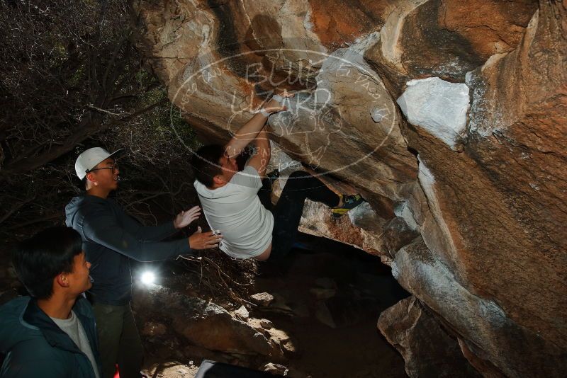 Bouldering in Hueco Tanks on 12/30/2019 with Blue Lizard Climbing and Yoga
Filename: SRM_20191230_1234200.jpg
Aperture: f/8.0
Shutter Speed: 1/250
Body: Canon EOS-1D Mark II
Lens: Canon EF 16-35mm f/2.8 L