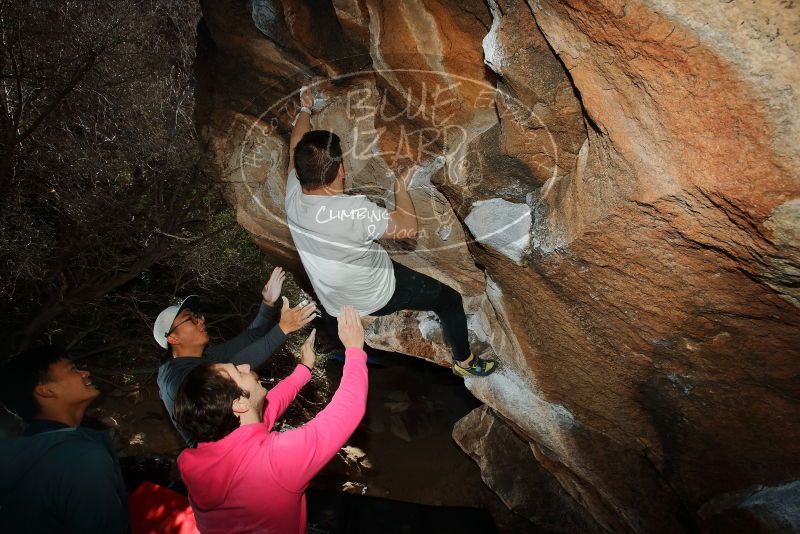 Bouldering in Hueco Tanks on 12/30/2019 with Blue Lizard Climbing and Yoga
Filename: SRM_20191230_1234590.jpg
Aperture: f/8.0
Shutter Speed: 1/250
Body: Canon EOS-1D Mark II
Lens: Canon EF 16-35mm f/2.8 L