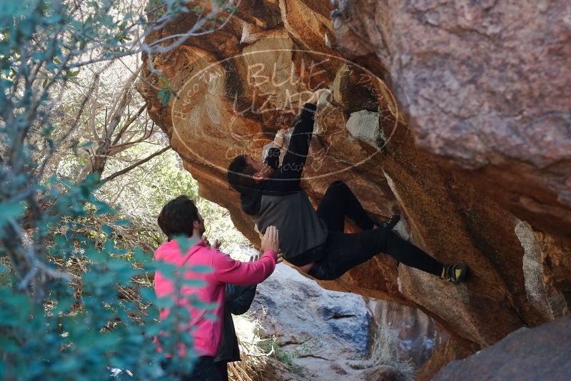 Bouldering in Hueco Tanks on 12/30/2019 with Blue Lizard Climbing and Yoga
Filename: SRM_20191230_1308540.jpg
Aperture: f/4.0
Shutter Speed: 1/250
Body: Canon EOS-1D Mark II
Lens: Canon EF 50mm f/1.8 II