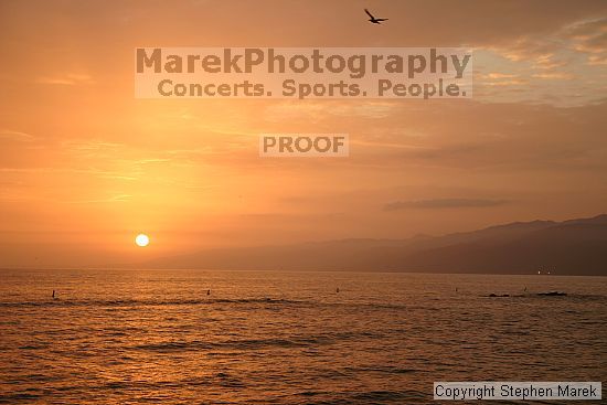 

Filename: img_4470_std.jpg
Aperture: f/5.6
Shutter Speed: 1/80
Body: Canon EOS DIGITAL REBEL
Lens: Canon EF-S 18-55mm f/3.5-5.6