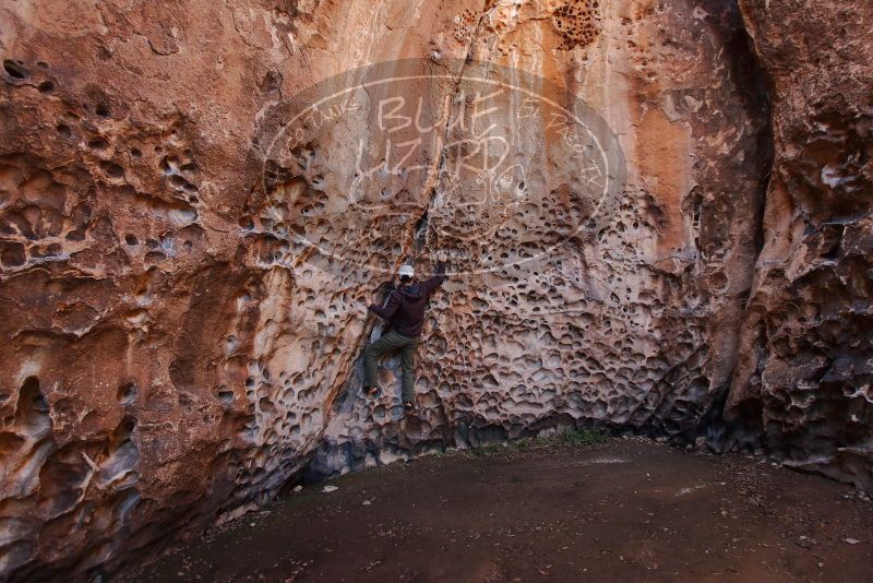 Bouldering in Hueco Tanks on 12/30/2019 with Blue Lizard Climbing and Yoga

Filename: SRM_20191230_1444530.jpg
Aperture: f/4.0
Shutter Speed: 1/100
Body: Canon EOS-1D Mark II
Lens: Canon EF 16-35mm f/2.8 L