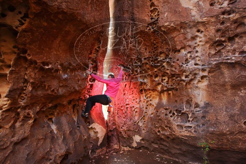 Bouldering in Hueco Tanks on 12/30/2019 with Blue Lizard Climbing and Yoga
Filename: SRM_20191230_1502080.jpg
Aperture: f/3.2
Shutter Speed: 1/100
Body: Canon EOS-1D Mark II
Lens: Canon EF 16-35mm f/2.8 L