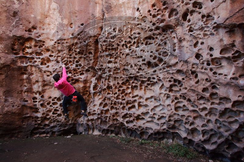 Bouldering in Hueco Tanks on 12/30/2019 with Blue Lizard Climbing and Yoga

Filename: SRM_20191230_1503410.jpg
Aperture: f/4.0
Shutter Speed: 1/100
Body: Canon EOS-1D Mark II
Lens: Canon EF 16-35mm f/2.8 L