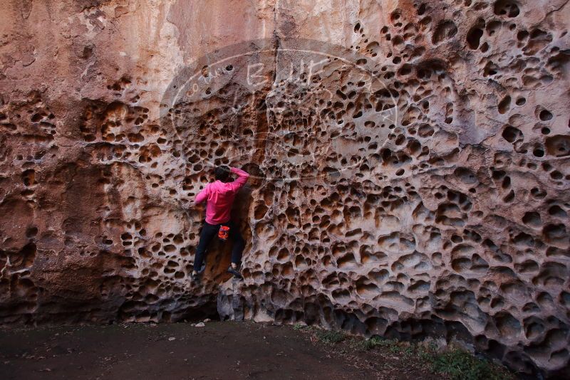 Bouldering in Hueco Tanks on 12/30/2019 with Blue Lizard Climbing and Yoga

Filename: SRM_20191230_1503430.jpg
Aperture: f/4.0
Shutter Speed: 1/100
Body: Canon EOS-1D Mark II
Lens: Canon EF 16-35mm f/2.8 L