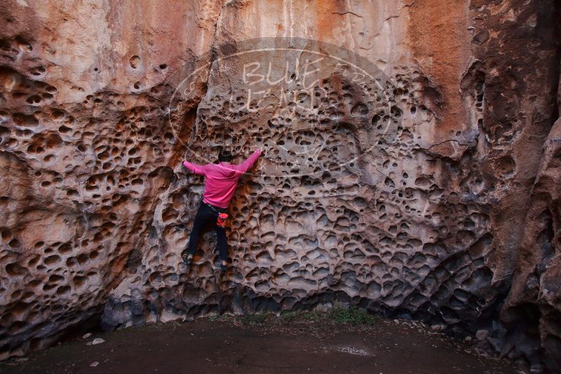Bouldering in Hueco Tanks on 12/30/2019 with Blue Lizard Climbing and Yoga

Filename: SRM_20191230_1504130.jpg
Aperture: f/4.5
Shutter Speed: 1/100
Body: Canon EOS-1D Mark II
Lens: Canon EF 16-35mm f/2.8 L
