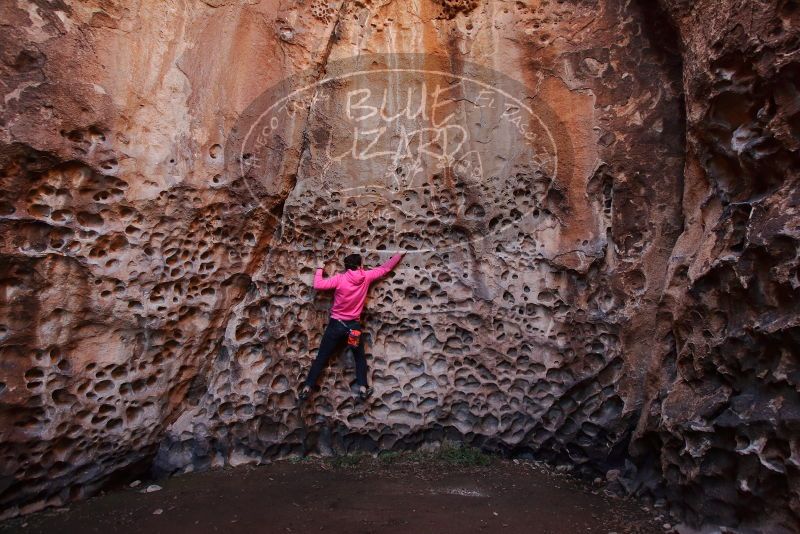 Bouldering in Hueco Tanks on 12/30/2019 with Blue Lizard Climbing and Yoga

Filename: SRM_20191230_1504180.jpg
Aperture: f/4.5
Shutter Speed: 1/100
Body: Canon EOS-1D Mark II
Lens: Canon EF 16-35mm f/2.8 L